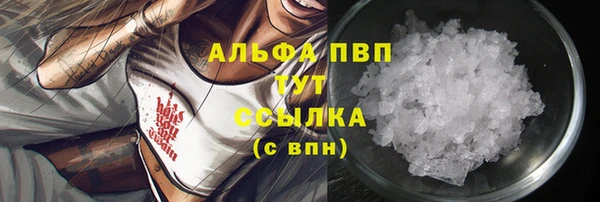 гашик Пересвет