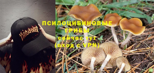 a pvp Переславль-Залесский