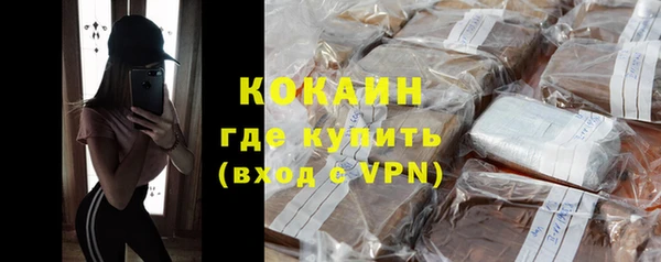 гашик Пересвет