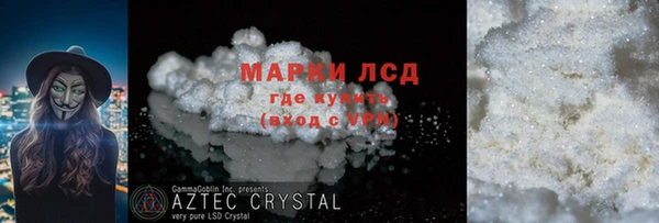 прущие грибы Пестово