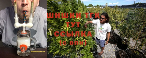 гашик Пересвет
