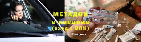 прущие грибы Пестово