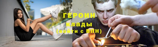 прущие грибы Пестово