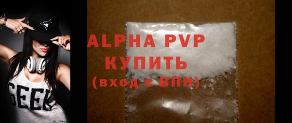 гашик Пересвет