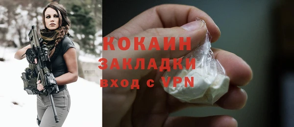ГАЛЛЮЦИНОГЕННЫЕ ГРИБЫ Кулебаки
