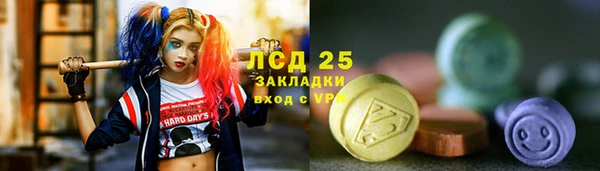 ГАЛЛЮЦИНОГЕННЫЕ ГРИБЫ Кулебаки