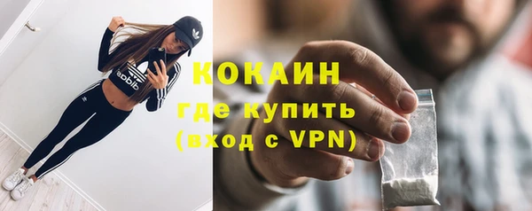 прущие грибы Пестово