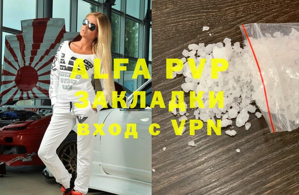 прущие грибы Пестово
