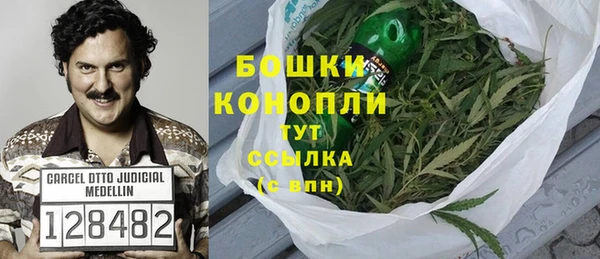 гашик Пересвет
