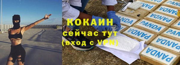 прущие грибы Пестово