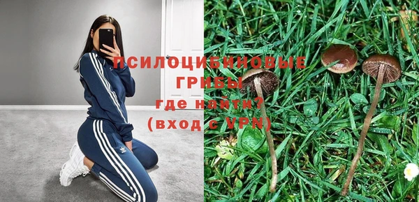 ГАЛЛЮЦИНОГЕННЫЕ ГРИБЫ Кулебаки