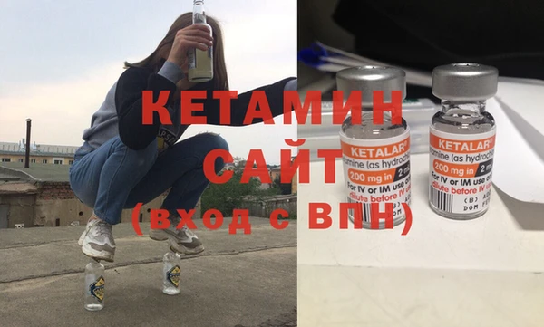 прущие грибы Пестово