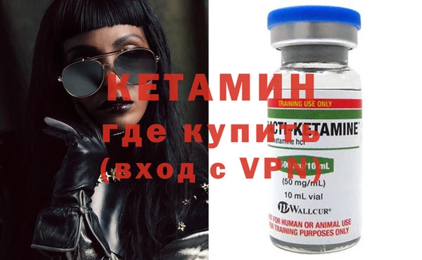 прущие грибы Пестово