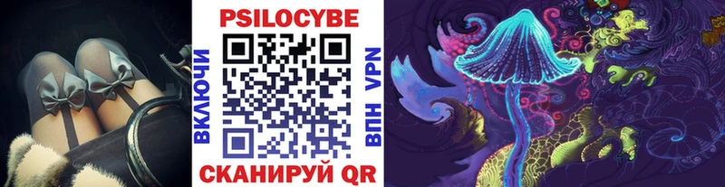Псилоцибиновые грибы Psilocybe  KRAKEN вход  Камышин 