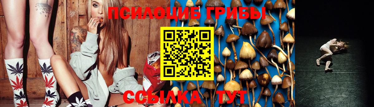 Псилоцибиновые грибы Magic Shrooms Камышин