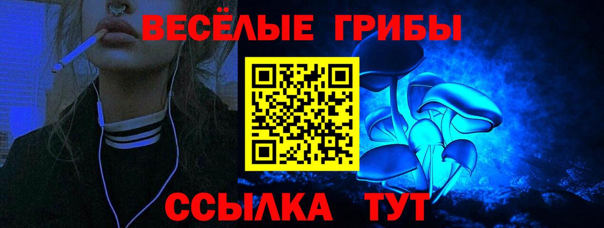 купить   Вход с VPN  Камышин  Галлюциногенные грибы Cubensis 