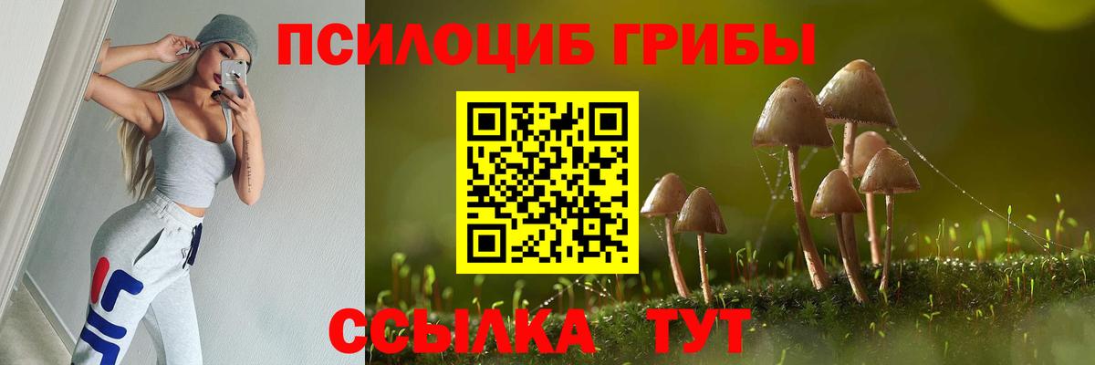 Псилоцибиновые грибы мухоморы Камышин