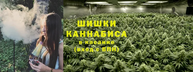 Бошки Шишки конопля  Камышин 